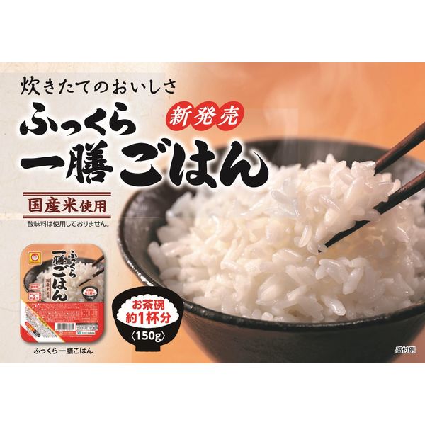 パックごはん 24食 ふっくら一膳ごはん（3食入）× 8個 東洋水産 米加工品 包装米飯 アスクル