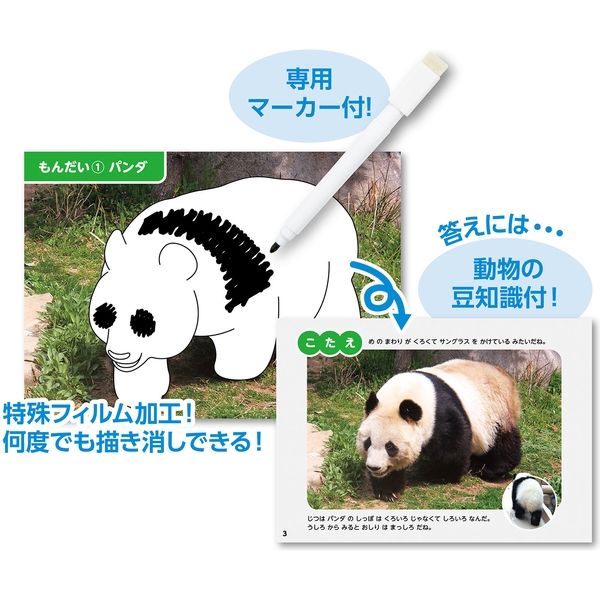 ⭐︎パンダ丸⭐︎他の方はご購入頂けません⭐︎artek アーテック かけるかな?どうぶつもようずかん おもちゃ 知育玩具