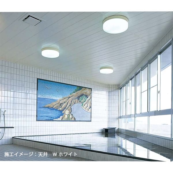 フクビ　浴室用天井材 バスパネル | フクビ化学工業株式会社