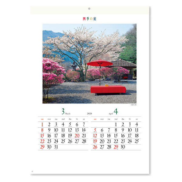 本能寺カレン　シノビ　80枚セット 卓上カレンダー カラーインデックス（大）｜卓上カレンダー