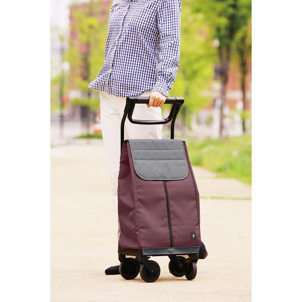 幸和製作所 歩行補助カート aカートショッピング WCC09-RE 1台