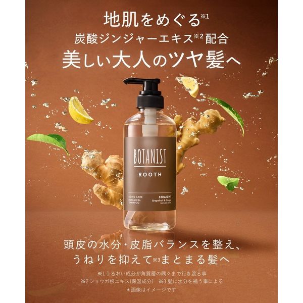 BOTANIST（ボタニスト）ルース シャンプーFI ストレート（10周年限定詰