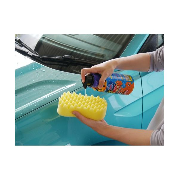 SOFT99 自動車用シャンプー&撥水コーティング剤 ALAUNEN バチバチ