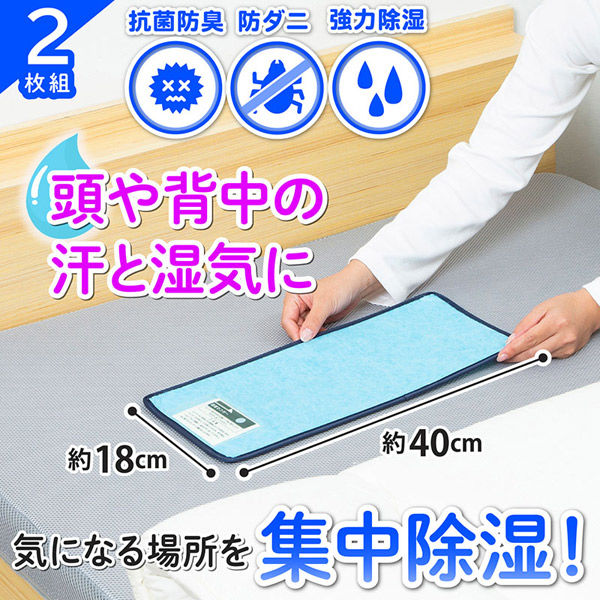 SS　セット アストロ 気軽に除湿!防ダニ抗菌防臭シート 2枚組 617-77 1セット(2枚
