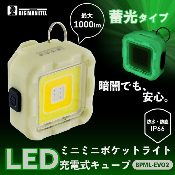 ビッグマン LEDミニミニポケットライト 充電式 キューブ 蓄光 BPML