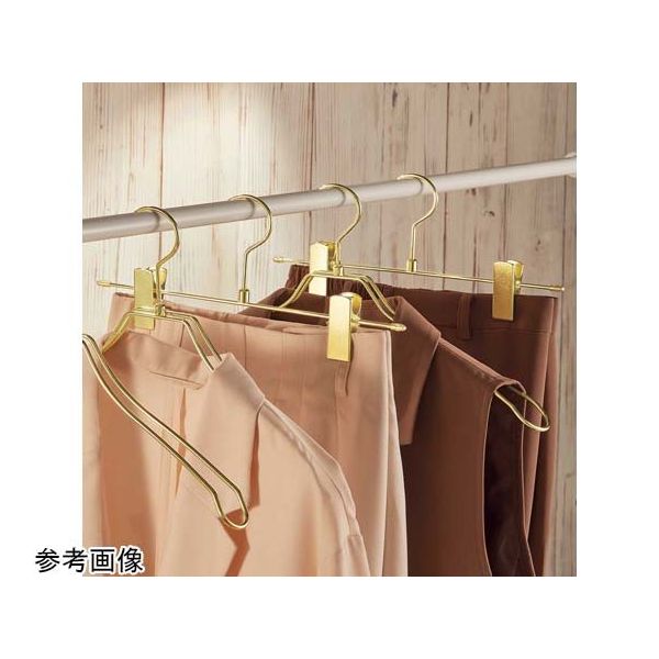 アズワン スチール製ボトムハンガー アンティークゴールド 50本入 67-6609-14 1箱(50本)（直送品）