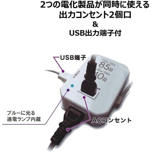カシムラ 海外用薄型2口変圧器USB 110-130V/85VA NTI-111 1個（直送品
