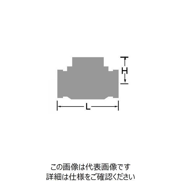 エスコ 1・1/2” リフトチャッキバルブ(青銅製) EA465AD-14 1個（直送品