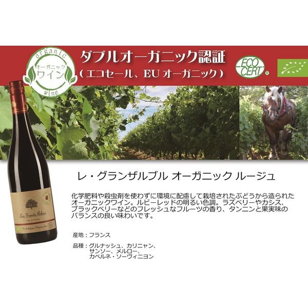 フランス レグランザルブル ルージュ 赤ワイン フルボディ 750ml フランス レグランザルブル ルージュ 赤ワイン フルボディ 750ml