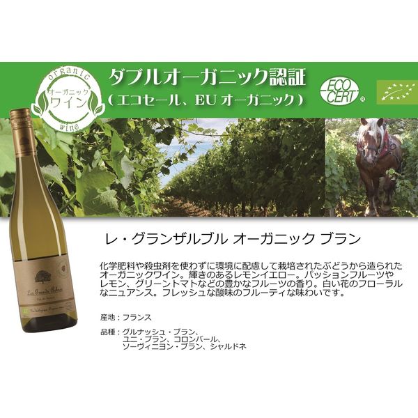 フランス レグランザルブル ブラン 白ワイン 辛口 750ml 1本