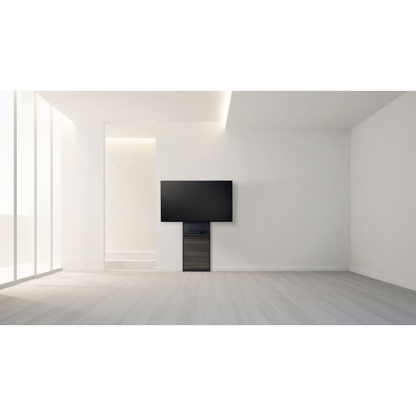 ハヤミ工産 TIMEZ EW 壁面スタンド ～65V型 幅476×奥行58×高さ