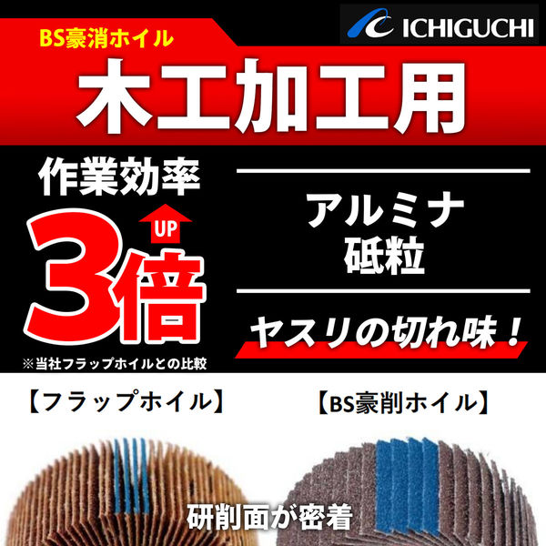 イチグチ BS豪削ホイル 木工加工用 70745 1個（直送品） - アスクル