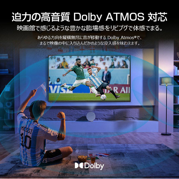 WIS 50型 4KチューナーレスGoogleTV 50GTN 1台（直送品） - アスクル