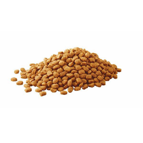 IAMS 成犬用ドライフードラム&ライス 小粒１２キロ アイムス 成犬用 健康維持用 ラム＆ライス 小粒 12kg | ペットゴー