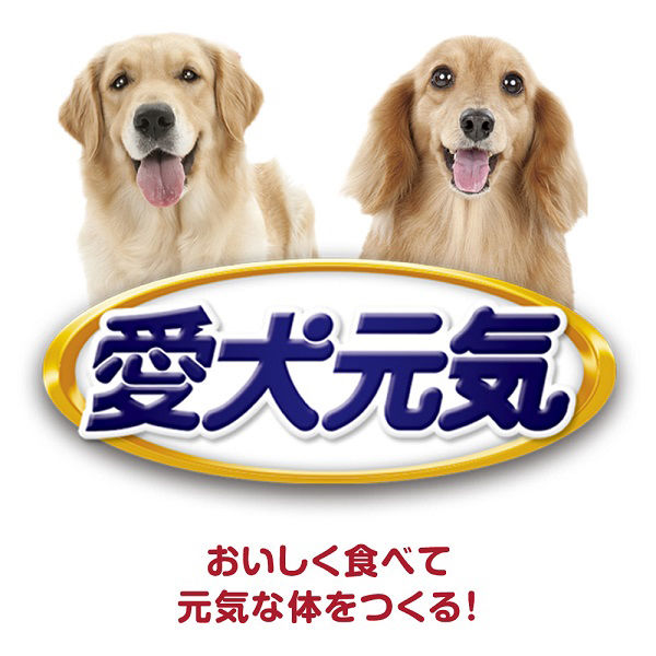 愛犬元気 お肉たっぷり 13歳以上用 ビーフ・緑黄色野菜入り 375g 12缶