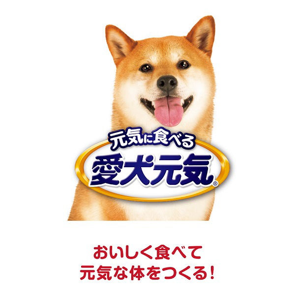 愛犬元気 柴犬用 ビーフ・緑黄色野菜・小魚入り 2.1kg（小分けパック4