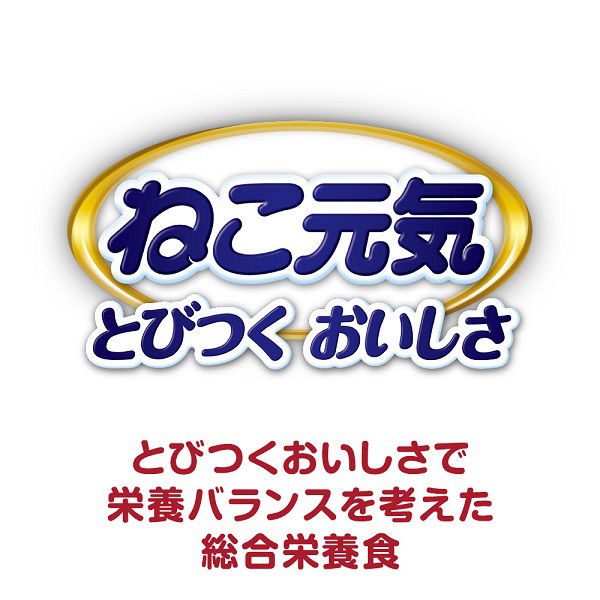 ねこ元気 15歳以上用 まぐろ入りかつお 60g 12袋 キャットフード