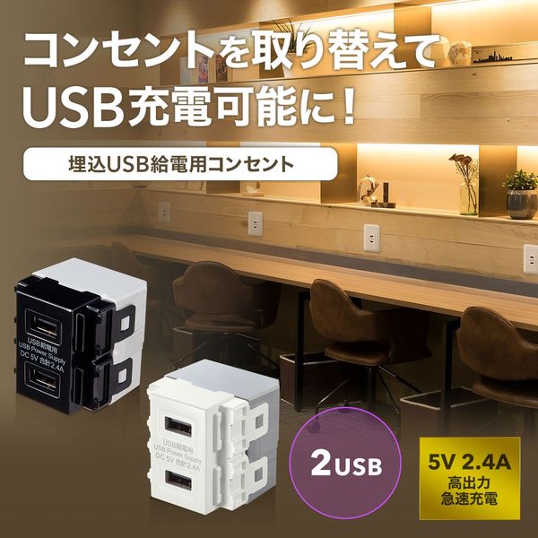サンワサプライ 埋込USB給電用コンセント (TYPEC搭載) TAP-KJUSB1C1W 1