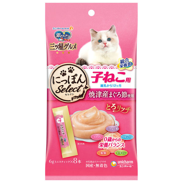 【66】猫ちゃん用一般食　200袋セット猫用一般食