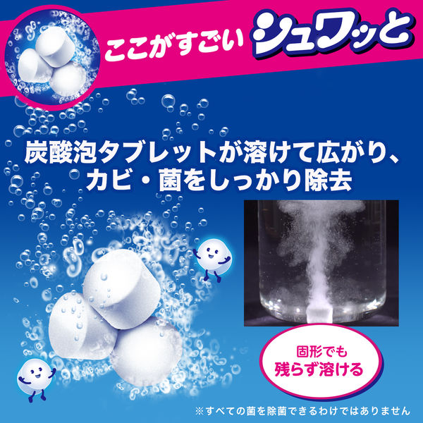 洗浄力 シュワッと洗たく槽クリーナー 除菌 消臭 個装タイプ 3回分 エステー