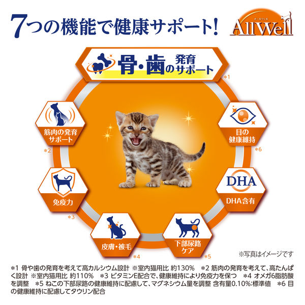 オールウェル 健康に育つ子猫用 フィッシュ味 1.6kg（小分け 400g×4袋）国産 3袋 キャットフード ドライ