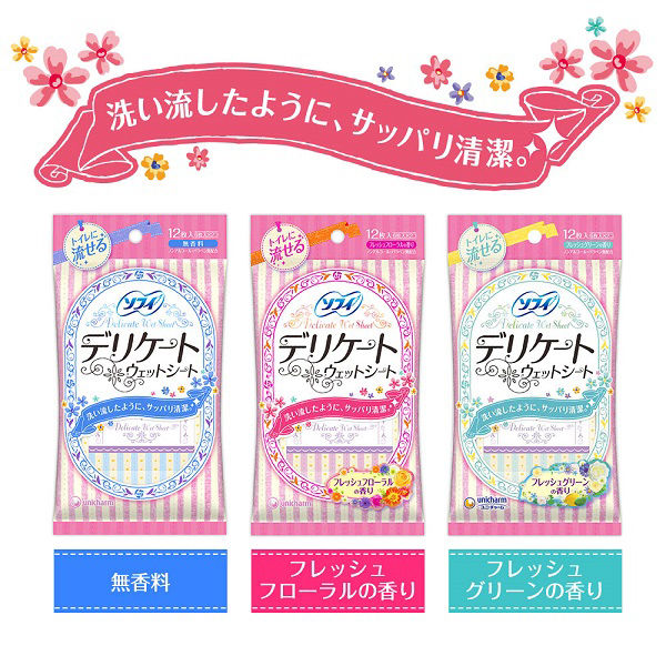 『専用』 【48個セット】12枚入✖️2個　デリケート ウェットシート 無香料 専用』 【48個セット】12枚入✖️2個 デリケート ウェットシート