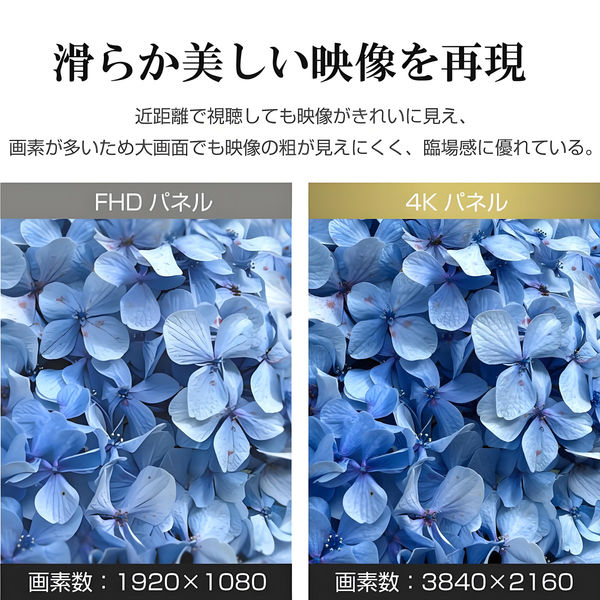 WIS 65インチ 4Kモニター AS-M65 1台（直送品） - アスクル