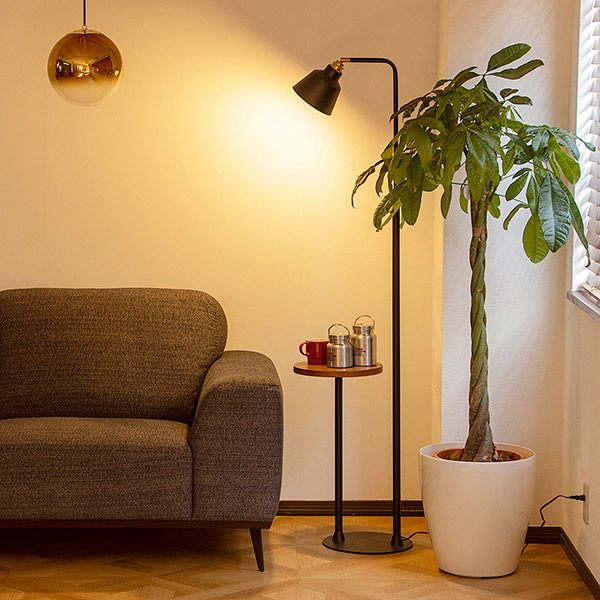 TIC コーニッシュコラット フロア フロアライト 間接照明 ブラック TC