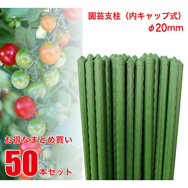 ジェイワークスプランニング 園芸支柱20mm×120cm 50本セット JSB-20