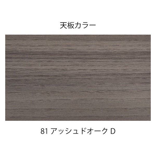 組立設置込】イトーキ シンラインキャビネット 専用天板 W450