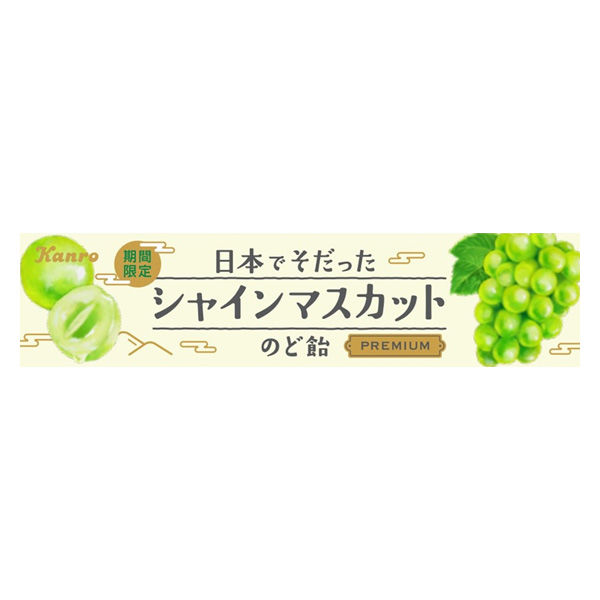 マスカット様 リクエスト 2点 まとめ商品 【公式通販】