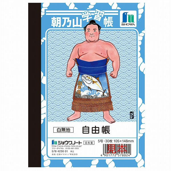Amazon.co.jp: 雄山閣 書道学習帖まとめて 11冊セット : おもちゃ