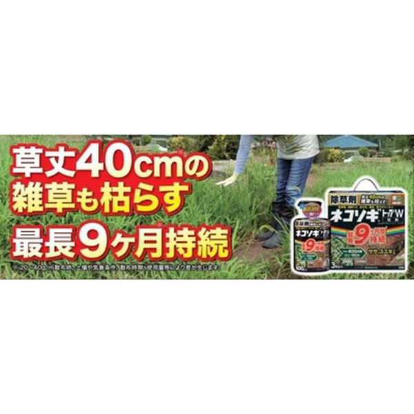 レインボー薬品 レインボー ネコソギトップW粒剤3kg 2055221 1個（直送