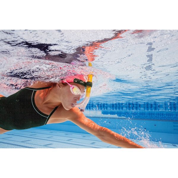 ＦＩＮＩＳ（フィニス） Ｓｗｉｍｍｅｒｓ Ｓｎｏｒｋｅｌ 大人用 10500950 1個（直送品）