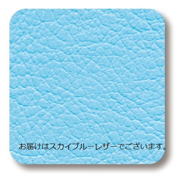高田ベッド チェスト&レッグDXII スカイブルー TB-1214 1台(直送品 高田ベッド チェスト&レッグDXII スカイブルー TB-1214 1台(直送品