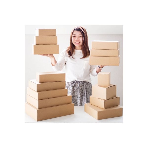 ヘッズ 無地スマートボックス/クラフト-2 MSM-GB2 1セット(30枚:10枚×3