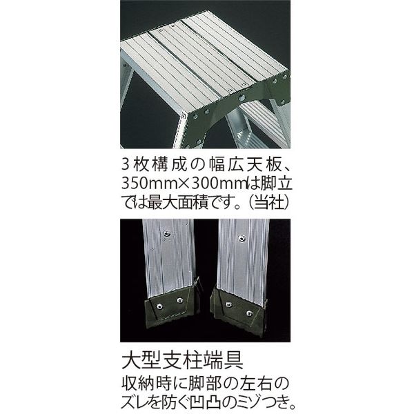 HASEGAWA 専用脚立 SWH-15