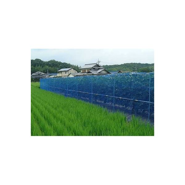 日本マタイ 防風網 4mm角目 2×50m 青 WINDBREAK4-250BL 1セット（2本