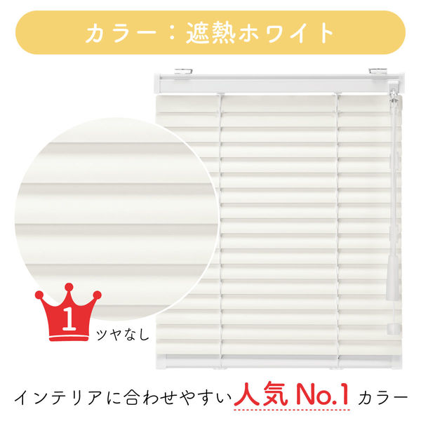 ブラインドカーテン　特注品約170cm x 200cm 1cm単位】プロ仕様ブラインド幅170cm×高220cm＜遮熱タイプ