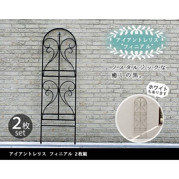 アイアントレリス　新品未使用未開封 ロンバス・アイアントレリス（ZXZ-21） の通販 | 園芸ネット