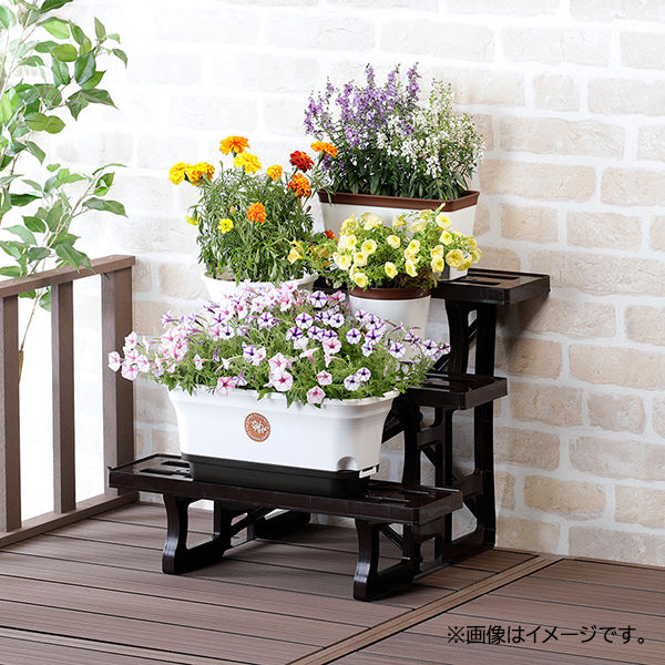木製ツリースタイルフラワースタンド 3段式 1bn1690.jpg