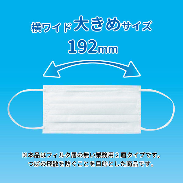 Bihou ２層タイプ 業務用マスク ホワイト 横ワイド 100枚入 ZMY-001-AS 1個（100枚入）（直送品） - アスクル