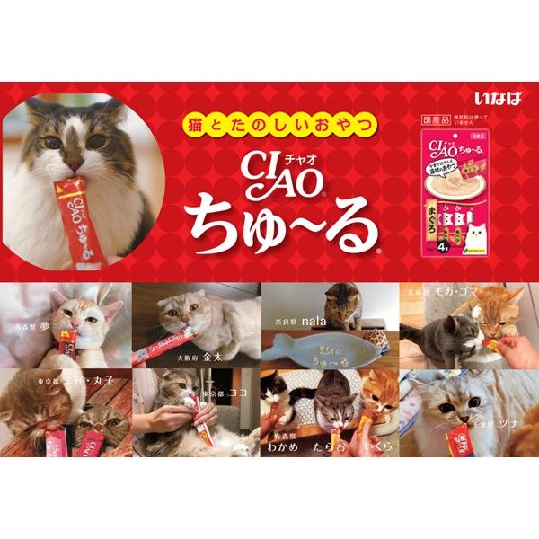 バラエティパック）いなば CIAO チャオ ちゅーる 猫 かつお海鮮