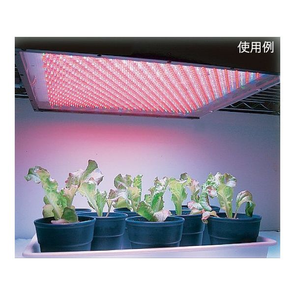 シーシーエス 植物育成用LED照明ユニット 緑+緑 ISL-150X150-HGG-SN 1