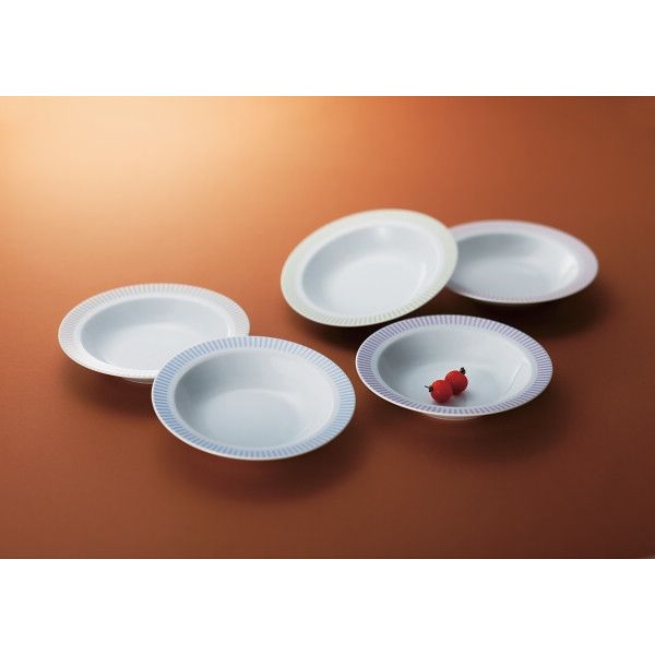 ミスターボス J&K カレー皿5枚セット SYAー059 1箱（直送品） - アスクル