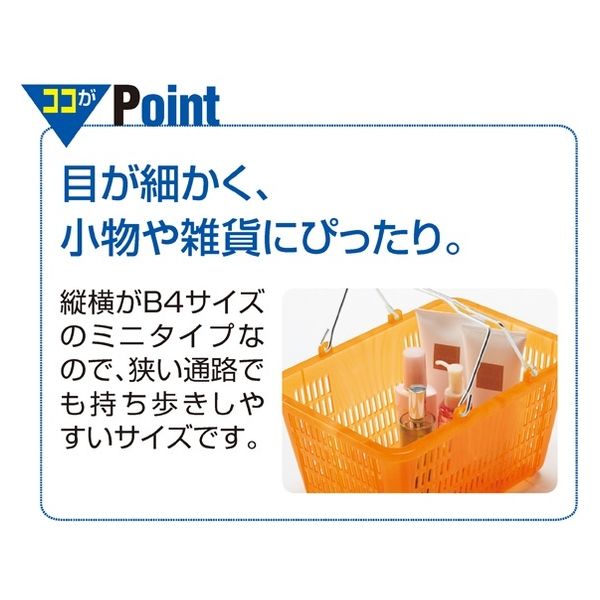 ストア・エキスプレス 【5個】スケルトンミニバスケット 10