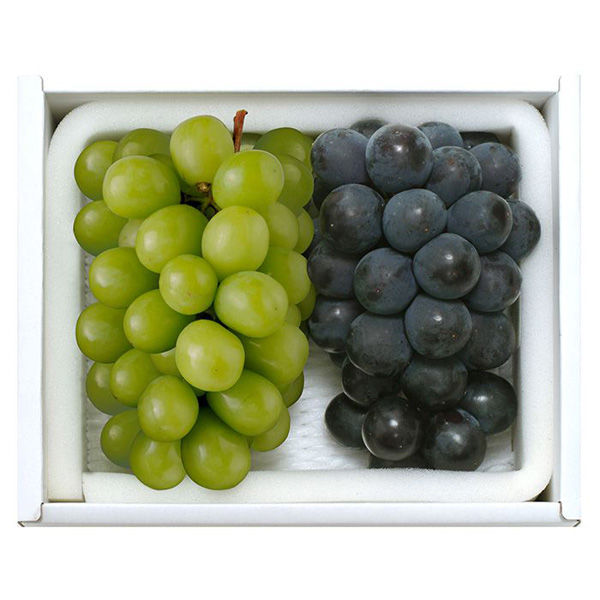 岡山県産ぶどう詰め合わせ 福袋】岡山県産ぶどうスペシャルセット（全6品）8月中旬頃～9月