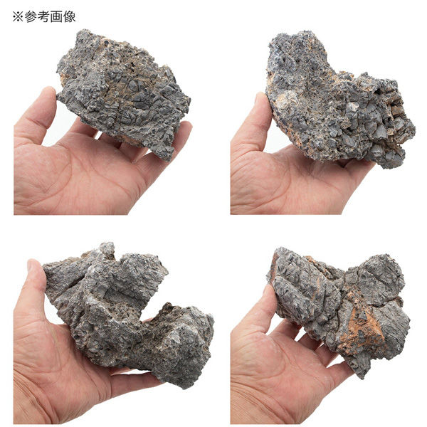 リーフ 形状お任せ 裂渓石 サイズミックス 10kg(約5~30cm