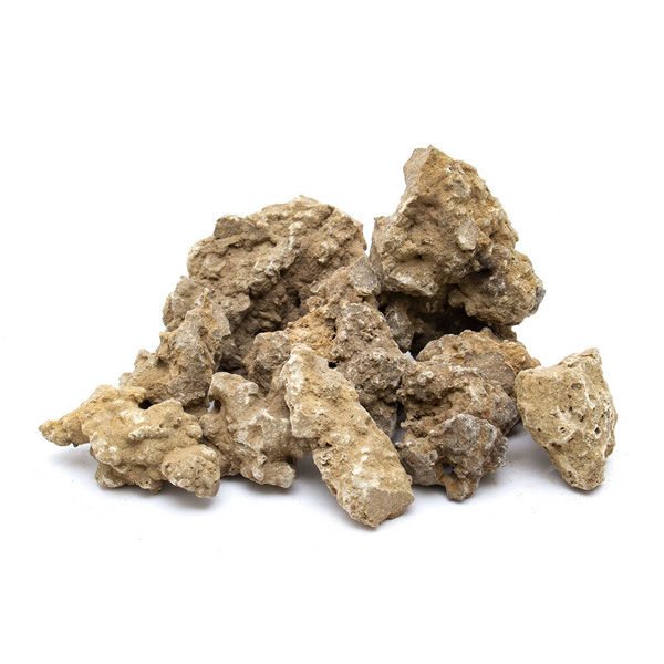 礁石 リーフ 形状お任せ 仙礁石 ボトルアクア用(約2~10cm) 500g