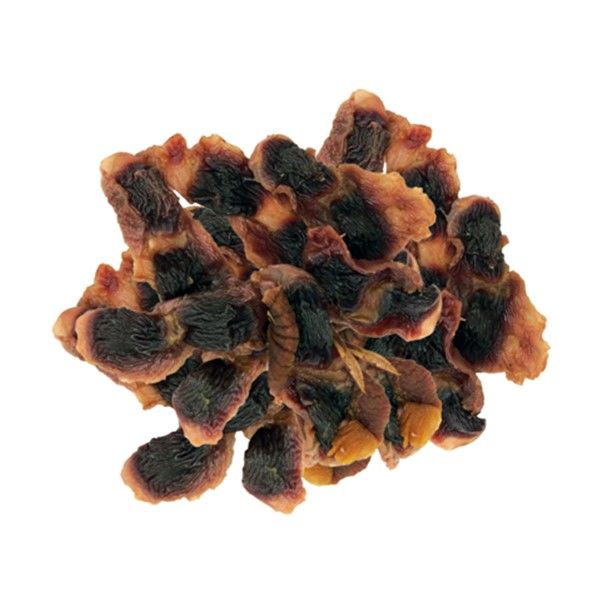 Q-pet 国産鶏 砂肝 姿干し 無添加 国産 200g 1袋 九州ペット